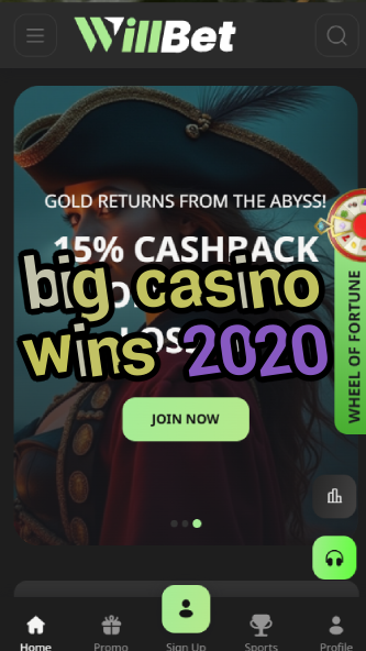 big casino wins 2020-asdasdzhjkds.com
