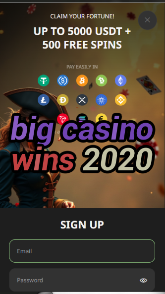 big casino wins 2020-asdasdzhjkds.com